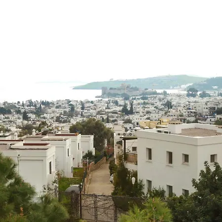 Central House With Beautiful View Apartament